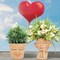 2pcs Cute Head Face Planters Pots Succulent Planter w/ Drainage Hole Home Decor